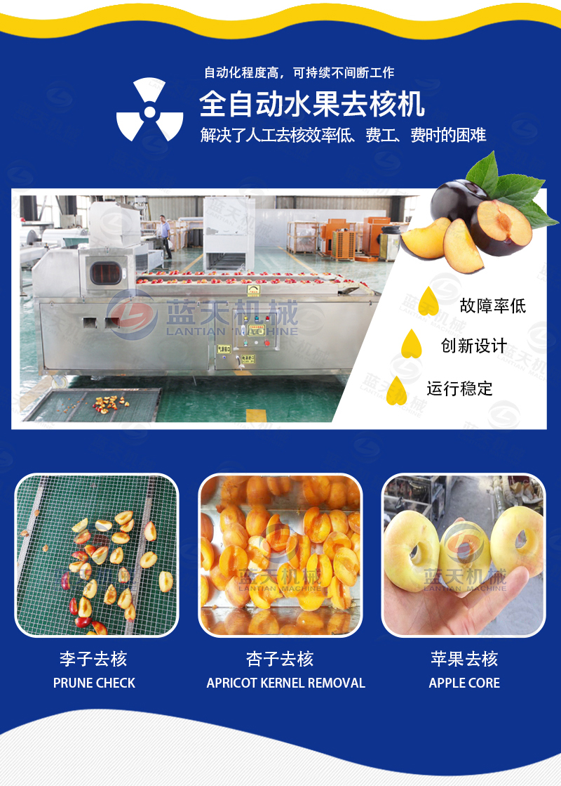 全自動水果去核機(jī)