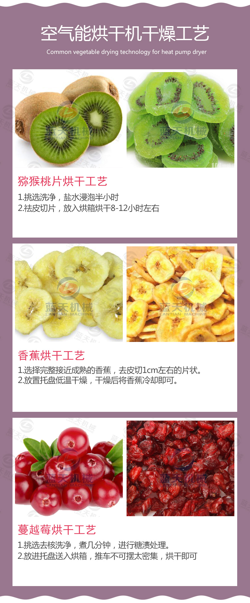 水果烘干機(jī)干燥工藝