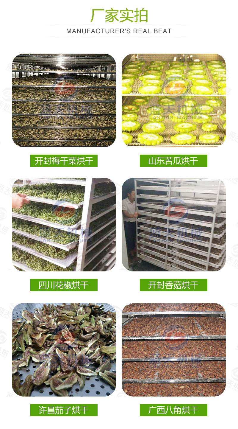 帶式青菜烘干機(jī)廠家實(shí)拍