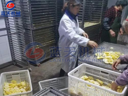 云南水果烘干機用戶現(xiàn)場