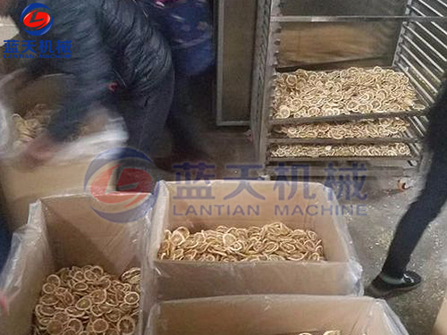 云南水果烘干機用戶現(xiàn)場