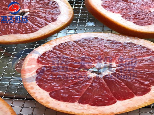 廣西水果烘干機(jī)用戶現(xiàn)場(chǎng)